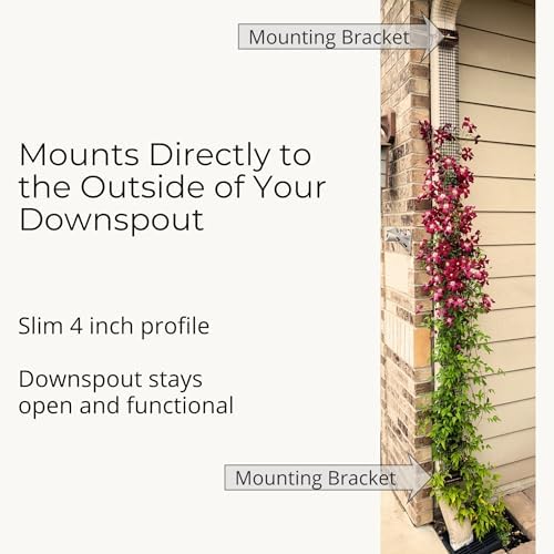 Downspout Trellis for Climbing Plants & Clematis, 9 ft x 4 in, 1-Pack - Image 5