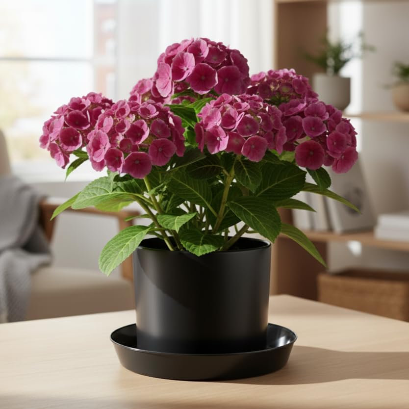 12 Inch (10.1 Inch Base), Black, Case of 10 Plant Saucer - Image 6