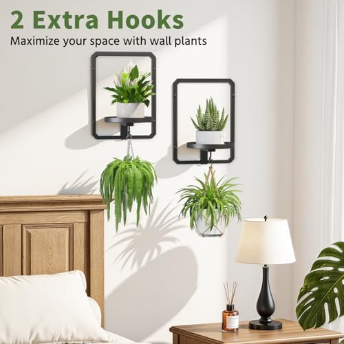 LASZOLA Plant Picture Frame Holder Shelf Wall Window Indoor, 3 Pcs Black - Image 5