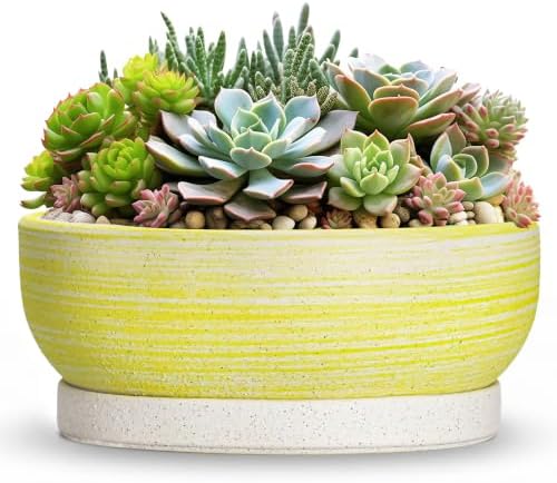 Succulent Pots, 13 Inch Ceramic Bonsai Tree Pots, Brushed Yellow by Unknown
