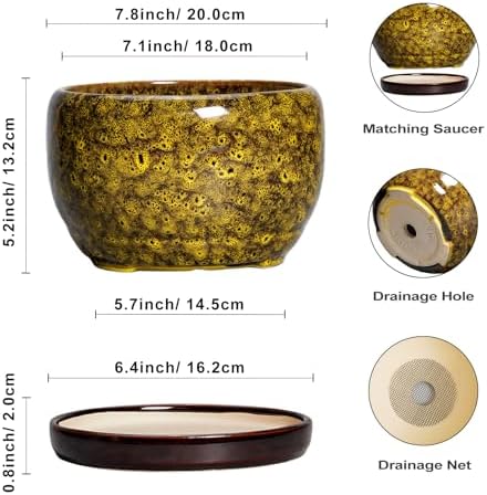 SQOWL Ceramic Flower Pots - 8 inch Ceramic Planter for Indoor Plants, Decorative Plant Pots with Drainage Hole and Saucer, Round Planter Outdoor, Porch Backyard Decor, Housewarming Gifts, Yellow - Image 3