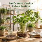 18 Pounds Mix Horticultural Lava Rocks, 3-6 mm Lava Rocks for Plants, Bonsai Rocks Horticultural Grit Soil Cover Gravel for Succulents and Hydroponics, Fairy Gardening, Top Dressing, Plant Drainage - Image 7
