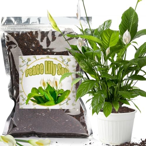 Doter Organic Peace Lily Soil Mix 10qt, Indoor Plants Potting Mix for Planting, Growing, or Repotting Peace Lily Plants, Grow Healthy houseplants Indoors by Todobetter