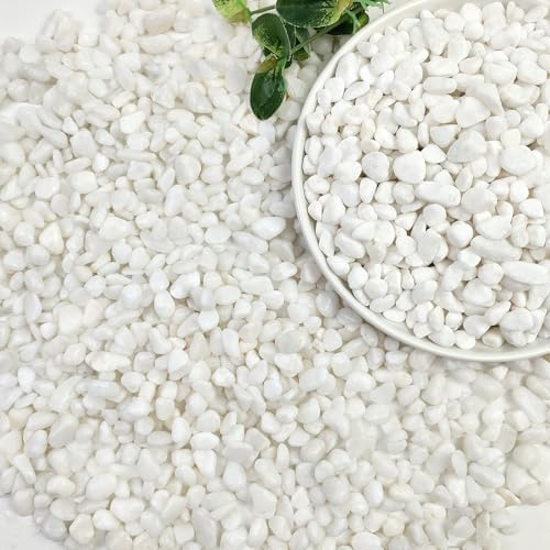 20lbs White Pebbles for Landscaping, 3/8inch Small Rocks for Gardening Succulent Cactus Planters, Natural Polished Pebbles, River Rocks for Plants, Vases by SHIZWU