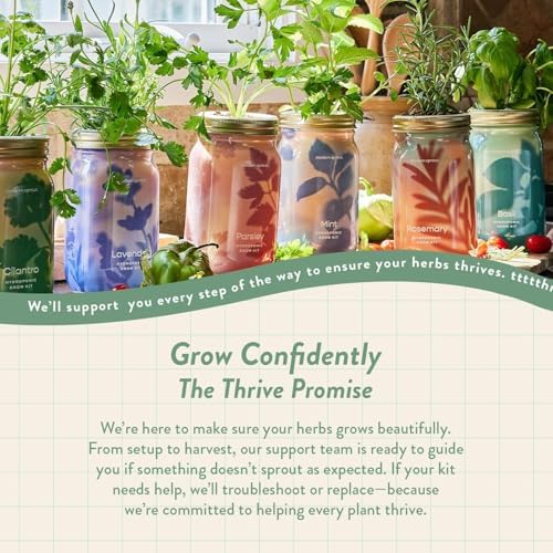 Modern Sprout Garden Jars + Smart Growbar Bundle- Basil, Rosemary & Parsley - Image 4