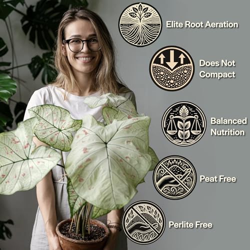 Craft Aroid Potting Mix- Elite Organic Alocasia, Philodendron, Monstera Soil Mix, Chunky, Well Draining Potting Soil for Indoor Plants, All Tropical Plants & Houseplants, Sustainable & Peat Free 8QT - Image 3