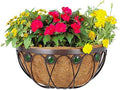Arcadia Emerald Series Wall Manger Planter, 16-Inch by ArcadiaGardenProducts