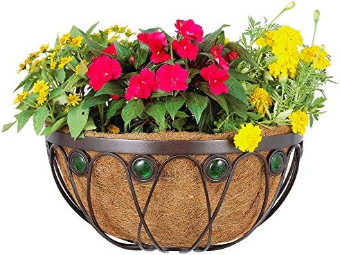 Arcadia Emerald Series Wall Manger Planter, 16-Inch by ArcadiaGardenProducts
