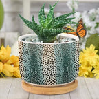 Chestnut Animal Planter Ceramic Animal Brown Dot Round Flower Pot with Drainage Holes and Bamboo Tray Pot for Succulents Cactus Garden Windowsill - Image 6