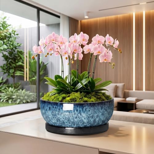Bonsai Pots, 13 Inch Ceramic Succulent Pot with Saucer, Blue - Image 5