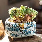 Succulent Pots 5 inch Hand Painted Cactus Plant Pot Clay Pot Flower Pot Planter Container with Drainage Hole Pack of 2 (Blossom Blue and Red) - Image 6