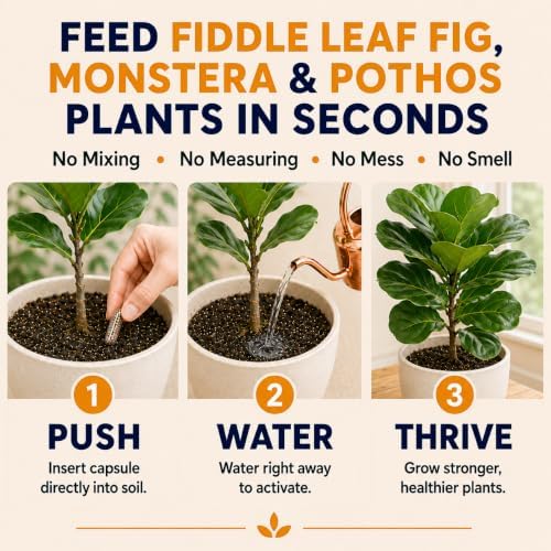 Earth Pods® Fiddle Leaf Fig & Monstera Plant Food Spikes, 100 Capsules - Image 2