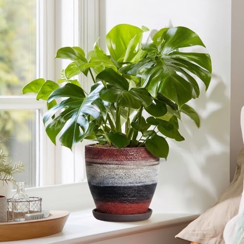 6 Inch Ceraimc Planters, Ceraimc Plant Pots Indoor, Rainbow - Image 7