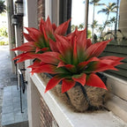 Ttranewsoo 2-Pack 18-Inch Faux Tropical Outdoor Plants, UV Resistant Artificial Agave Plants and Realistic Succulent Greenery for Planters, Porch, Patio, Garden, Entryway and Home Decor, Red - Image 2