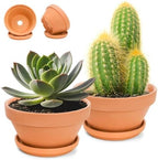 2 Pack 8 Inch Shallow Succulent Terracotta Pots with Drainage Hole and Saucer, Clay Plant Pots for Indoor and Outdoor Planter, Bowl Planter for Orchid, Cactus, Flowers by Mezchi