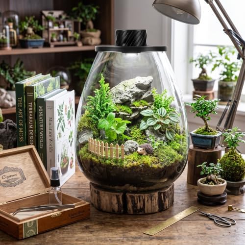 Maxdot Glass Terrarium Kit with LED Grow Light for Desktop,6.9 x 7.8 Inch - Image 5