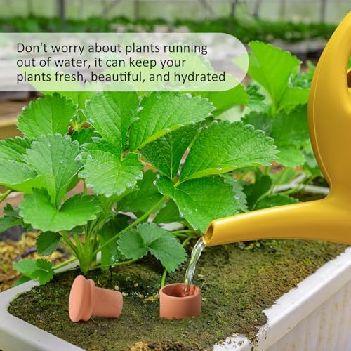 Large 10×6×6inch Terra Cotta Watering Pots 110oz Terra Cotta Watering Terracotta Watering Spikes Self Watering Planter Watering Pot with Lid for Outdoor & Indoor Plants - Image 3