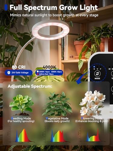 GLOWRIUM Grow Lights for Indoor Plants,Full Spectrum Plant Light with Stand - Image 2