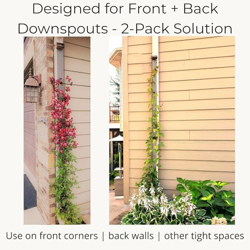 Downspout Trellis for Climbing Plants & Clematis, 9 ft x 4 in, 2-Pack - Image 6