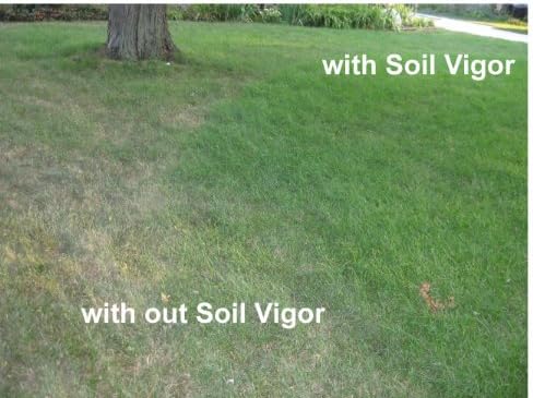 Water Storing Crystals – Commercial Grade Soil Additive & Moisture Retainer – Potassium Polyacrylate Super Absorbent Polymer for Plants, Gardens & Lawns (20) - Image 5