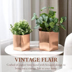 MyGift Copper Tone Metal Hexagon Succulent Cactus Planter Pots, Set of 2 - Image 2