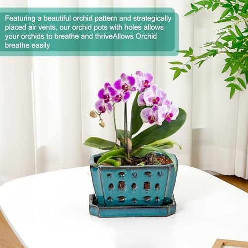 Teenyyou 7 Inch Ceramic Orchid Pot with Holes and Saucer Repotting,Green - Image 5