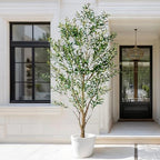 8FT Artificial Olive Tree with Realistic Leaves & Natural Trunk, Faux Silk Olive Plant in White Planter, Tall Fake Tree for Modern Home Office Living Room Entryway Corner Decor, Maintenance Free - Image 5