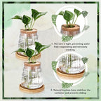 Baderke 12 Pack Propagation Vases for Plants, Vertical Grain Style - Image 4