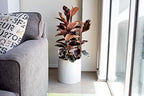 Brea Round Cylinder Fiberglass Planter (D:12" x H:12", Matte Black) - Image 7