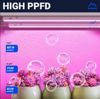 Barrina T5 LED Grow Lights, Full Spectrum Growing Light, 2FT 10W, 8 Packs - Image 3