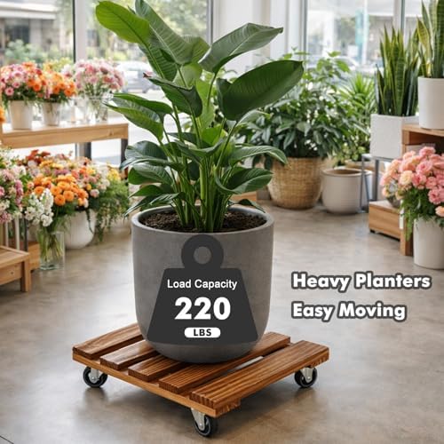 16 Inch Plant Caddy with Wheels, 4 Pack Rolling Plant Stand Rollers with Casters Wooden Plant Dolly with Wheels Heavy Duty Large Rolling Planter Base for Indoor & Outdoor Plants Square Flower Stand - Image 5