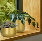 Vixdonos Gold Metal Flower Pots Brass-Toned Garden Planters, 7.1/6.3 Inch Indoor Round Succulent Containers, Pack 2 Cactus Plant Pots with Drainage Hole - Image 4