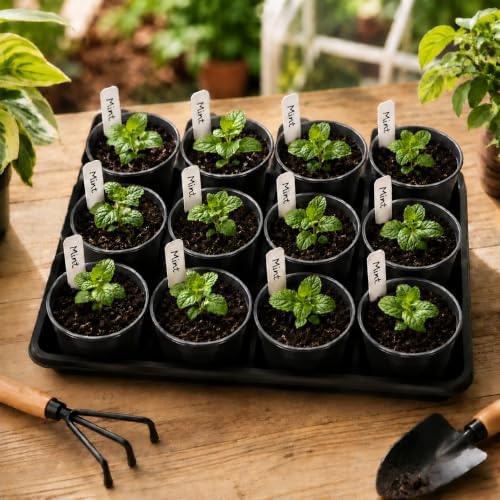 5 Pack Plastic Seed Starter Tray with 60pcs 3.5 inch Seedling Pots - Image 7