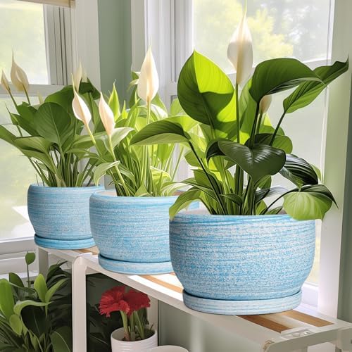 SQOWL Ceramic Planter - 8 inch Pot for Plants Indoor Outdoor, Modern Ceramic Flower Pot with Drainage Hole and Saucer, Decorative Round Planter, Home Office Decor, Plant Lovers Gifts, Blue - Image 6