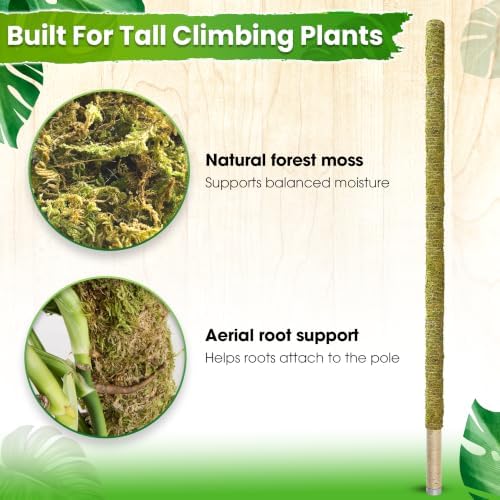 DUSPRO 80" Large Stackable Moss Pole for Plants Monstera, (1pc., 80'') - Image 5