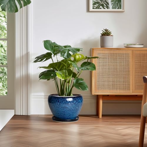 10 Inch Plant Pot, Ceramic Planter with Drainage and Saucer, Blue - Image 4