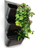 BOXSAND-6 Vertical Wall Planter (12"x26", Black, No Pots) – Living Wall for 6 Plants, Indoor/Outdoor Vertical Garden System, Easy 2-Screw Install by BOXSAND