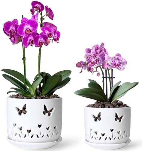 2 Pack, 5 + 6 Inch White Orchid Pots with Butterflies and Tulips Holes, Ceramic Orchid Planters for Repotting with Drainage Holes by ThrivingThicket