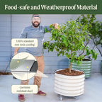 Rolling Metal Citrus Tree Planter Pot, 21″ Round Planter Box for Porch Patio & Backyard, 20 Gallon Large Planter Pot with Wheels for Growing Olive Trees Tomatoes Vegetables Flowers, 2 Pack Modern Gray - Image 5