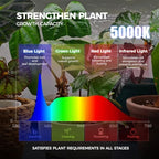 Barrina LP750 Indoor Greenhouse with Grow Light, 5 Tier Stand with Tent - Image 4
