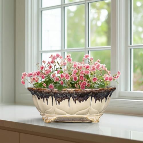 Ceramic Bonsai Tree Pots - 11 Inch Succulent Pots with Drainage Hole, Decorative Bonsai Pot for Indoor Outdoor Plants, Succulent Planters, Front Porch Decor, Gardening Gifts, Oval Beige-Brown - Image 6