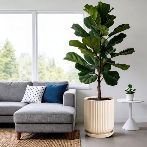 Deep Dream 12 Inch Ceramic Pots for Plants, Heavy Plant Pot for Indoor Outdoor Plants, Large Plant Pot with Drainage Hole and Saucer, Modern Tall Flower Pot, Gifts for Plant Lovers, Cream - Image 2