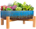 ARTKETTY Succulent Pots, 11 Inch Large Plant Pots with Drainage Stand - Image 2