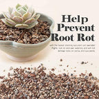 Bonsai Jack Succulent, Cactus and Bonsai Soil - Jacks Gritty Mix - 12 Gallons – Fast Draining – Fight Root Rot – Optimized pH - Image 2