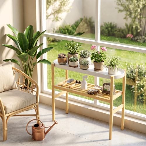 Bamboo Plant Stand Indoor, 2-Tier Plant Shelf Table for Multiple Plants - Image 3