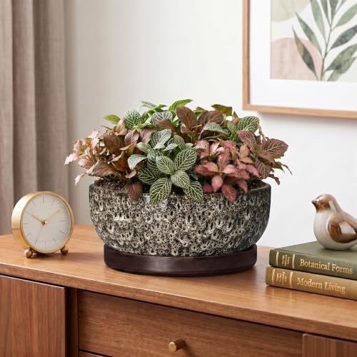 Bonsai Pots, 8 Inch Ceramic Succulent Pot with Saucer, White Leopard - Image 6