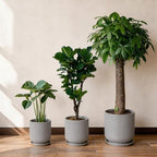 Deep Dream 12 Inch Ceramic Pots for Plants, Heavy Plant Pot for Indoor Outdoor Plants, Large Plant Pot with Drainage Hole and Saucer, Modern Tall Flower Pot, Gifts for Plant Lovers, Grey - Image 6