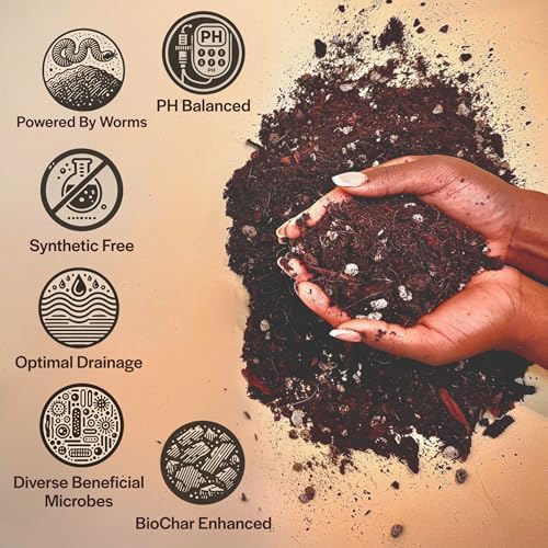Craft Aroid Potting Mix- Elite Alocasia, Philodendron, Monstera Soil Mix, Chunky, Well Draining Potting Soil for Indoor Plants, All Tropical Plants & Houseplants, Peat Free 12QT - Image 3
