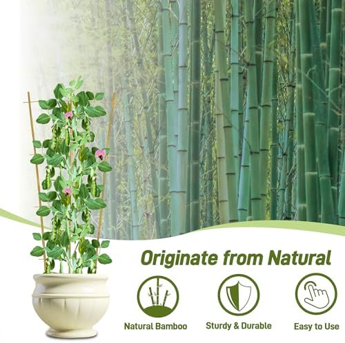 Avalution 10 Pack Bamboo Trellis for Climbing Plants, 3 FT Garden Ladder Trellis for Potted Plants Indoor, Fan-Shaped Small Plant Support Trellis for Houseplants Ivy Hoya Vine Monstera - Image 3