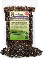 Premium Thai Constellation Monstera Potting Mix - Retains Moisture and Promotes Healthy Root Growth by Gardenera - 5 Quart by Gardenera